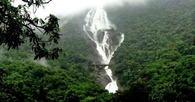 dudhsagar waterfalls