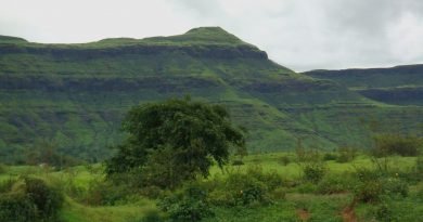 Saputara-Hill-Station